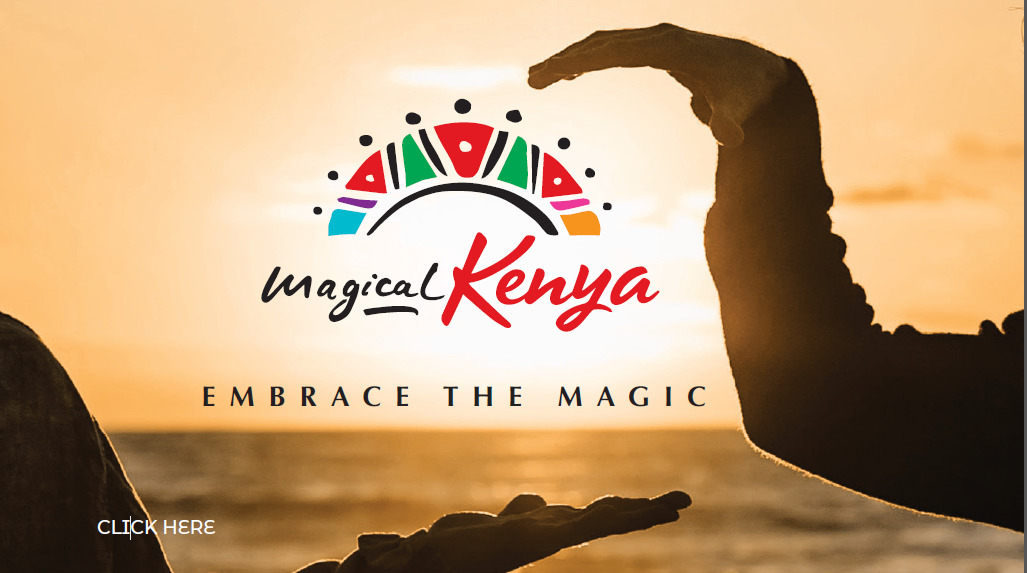 Read more about the article Kenya Tourism Board in Campaign to Woo Indian Travellers