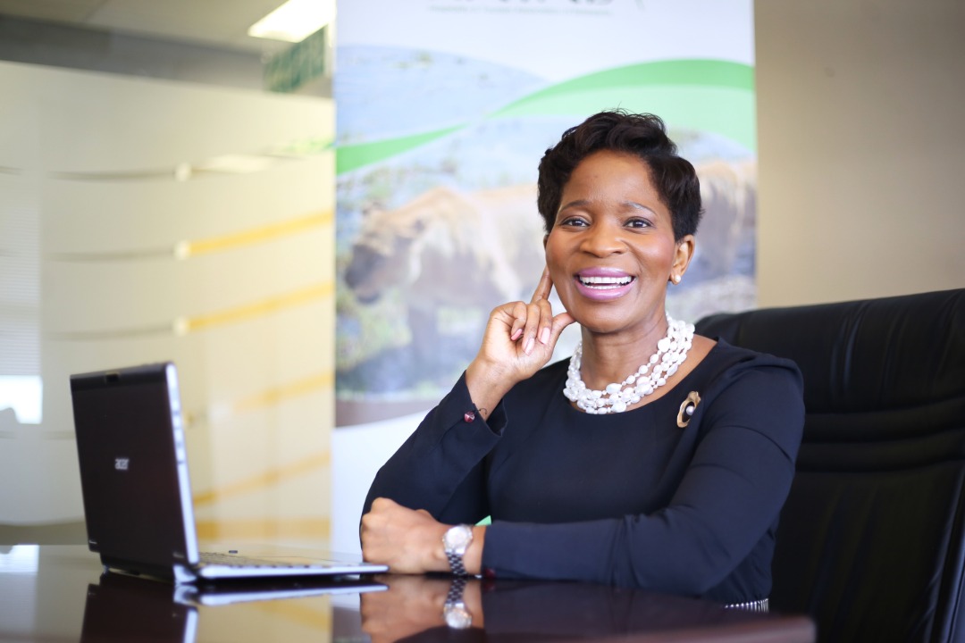 Read more about the article Botswana: Tourism Stakeholders calls on Government to bail out sector