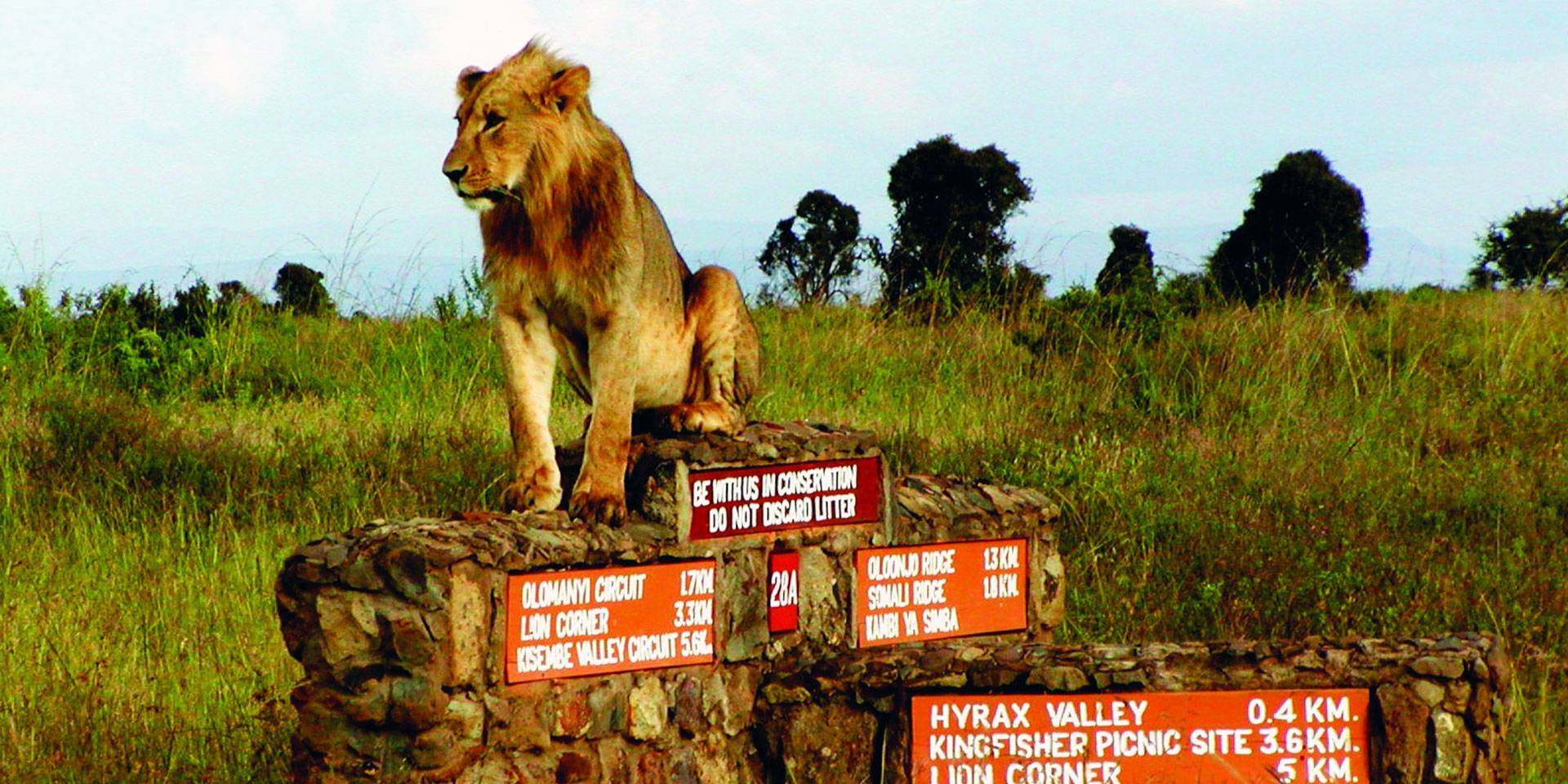 Read more about the article KWS Stance of road construction in Nairobi National Park