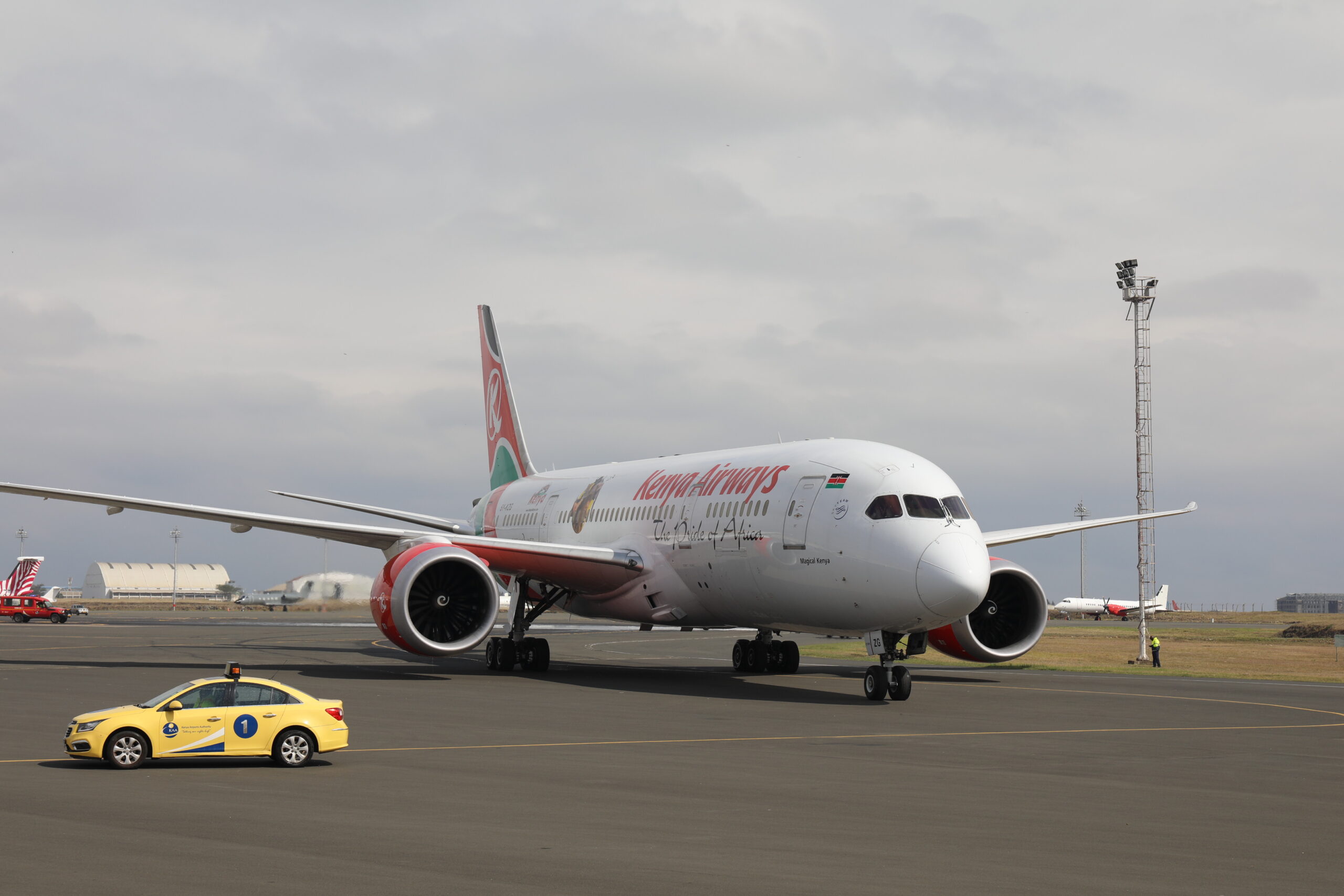 Read more about the article Kenya Airways resumes domestic Flights