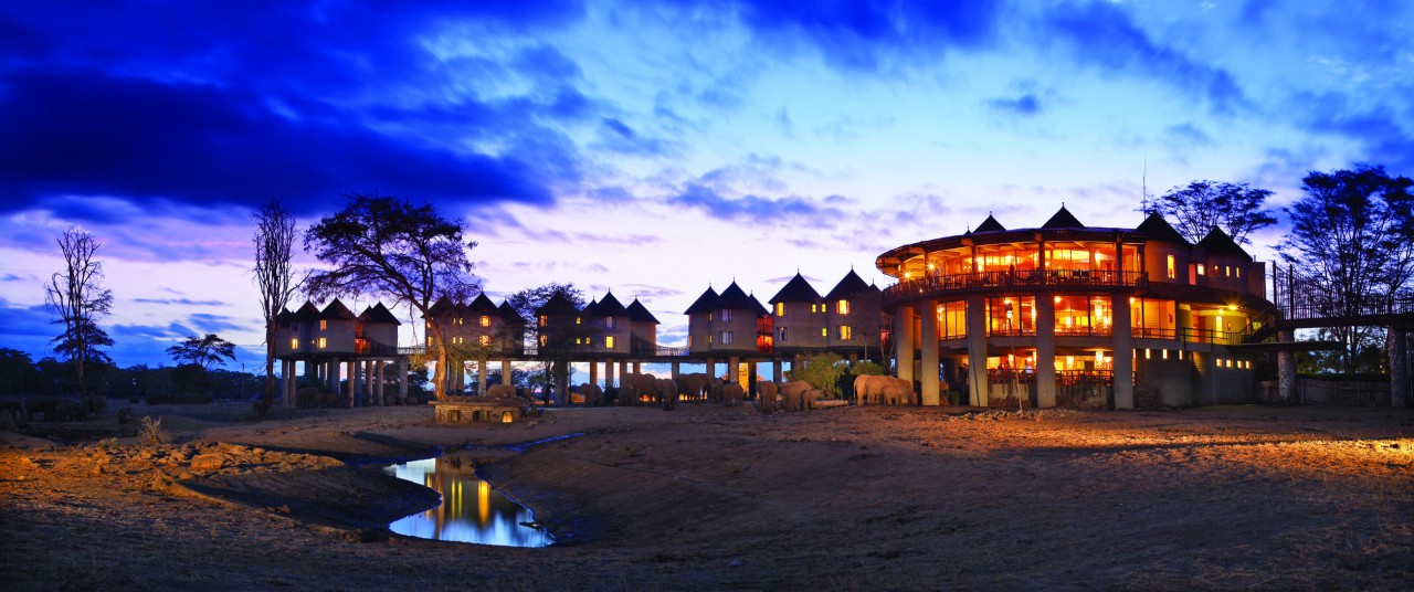 Read more about the article Why Sarova Salt Lick Game Lodge ticks!