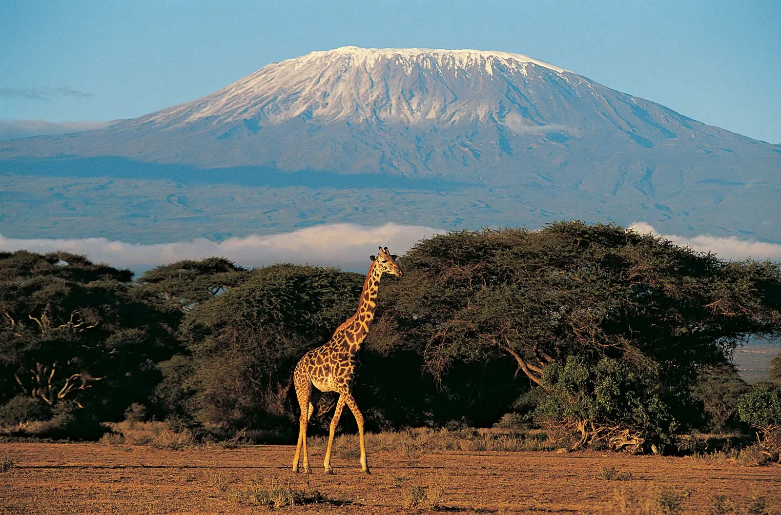 Read more about the article Tanzania: Ambassadors Abroad Urged to Promote Country’s Attractions